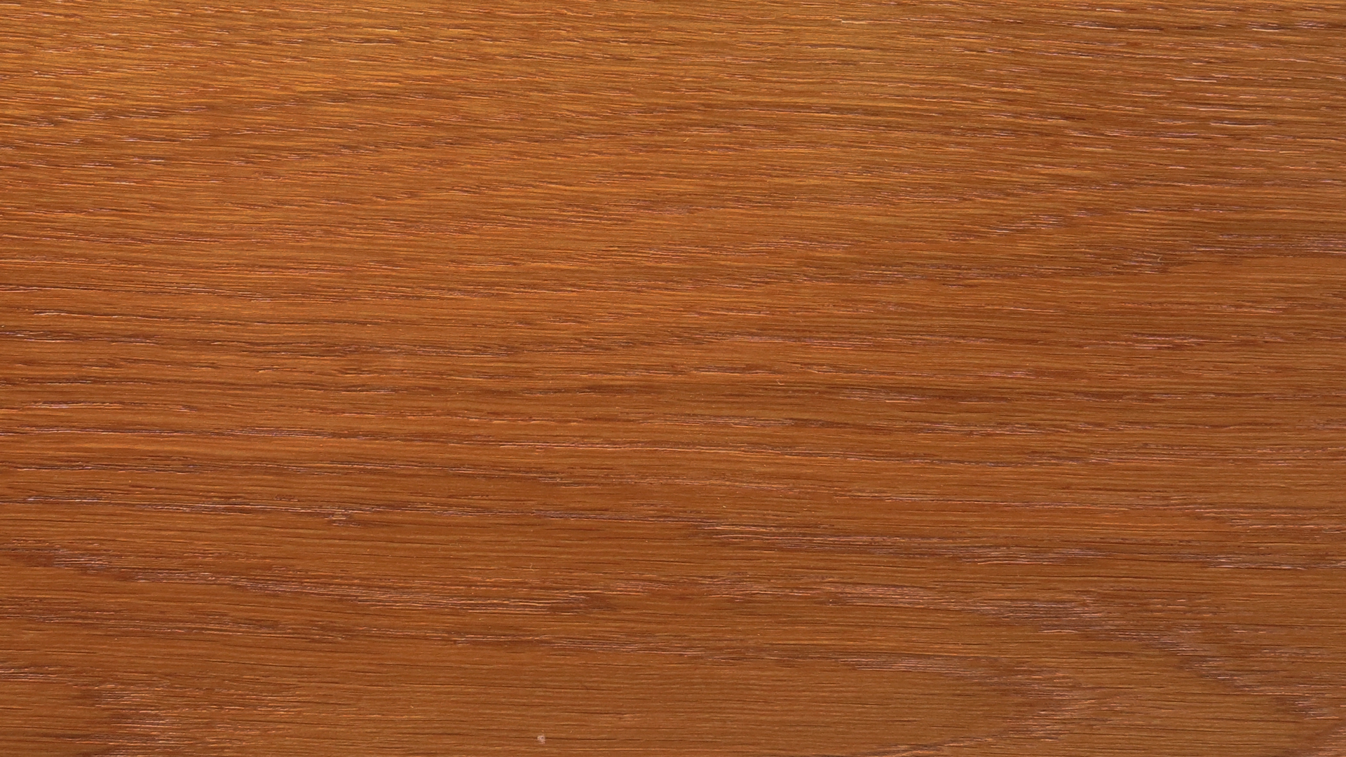 colorwood 06_57b73419d9d4d